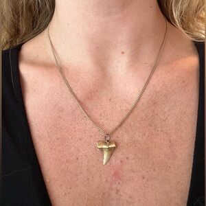 Gold Shark Tooth Necklace